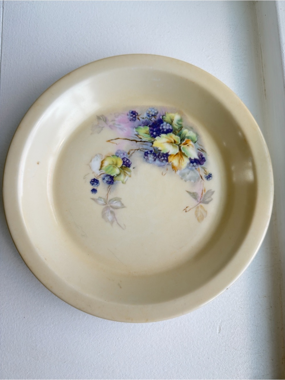Vintage Royal Rochester Hand-Painted Baking Plate